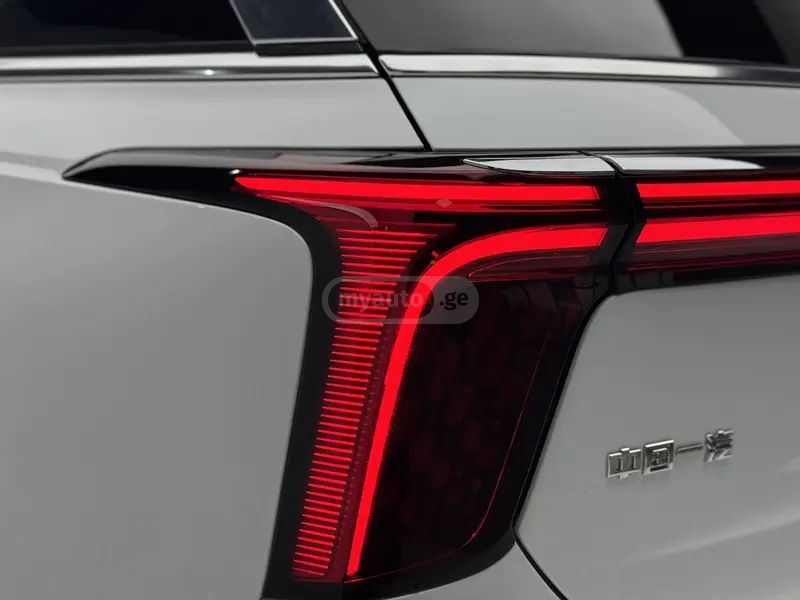 Hongqi E-HS9 - фото 10