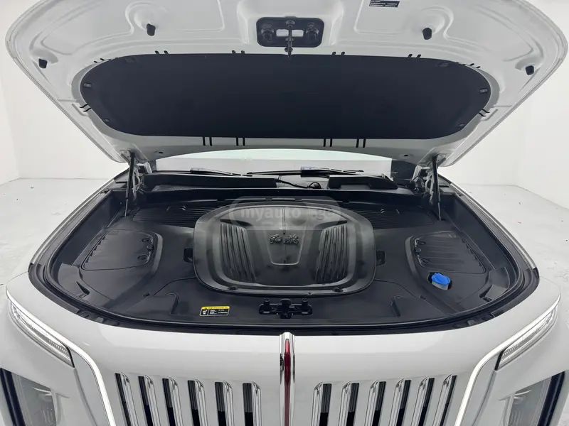 Hongqi E-HS9 - фото 12