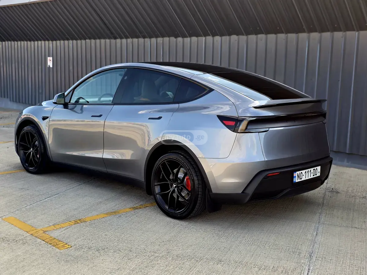 نمای دیگر Tesla LONG RANGE 2026