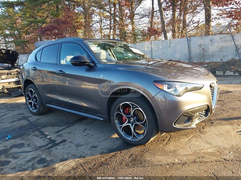 Alfa Romeo Stelvio 2024 — миниатюра 1