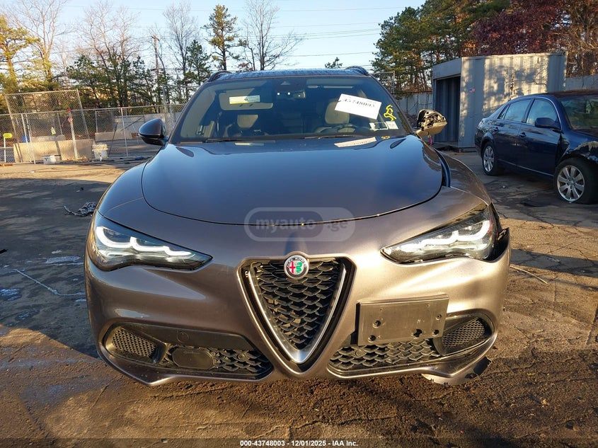 Alfa Romeo Stelvio 2024 — миниатюра 12