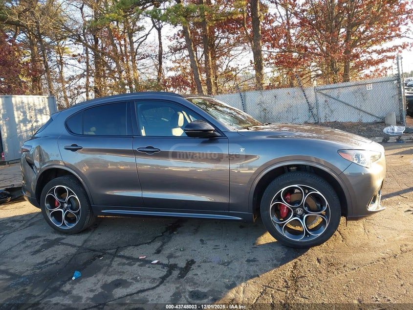 Alfa Romeo Stelvio 2024 — миниатюра 13