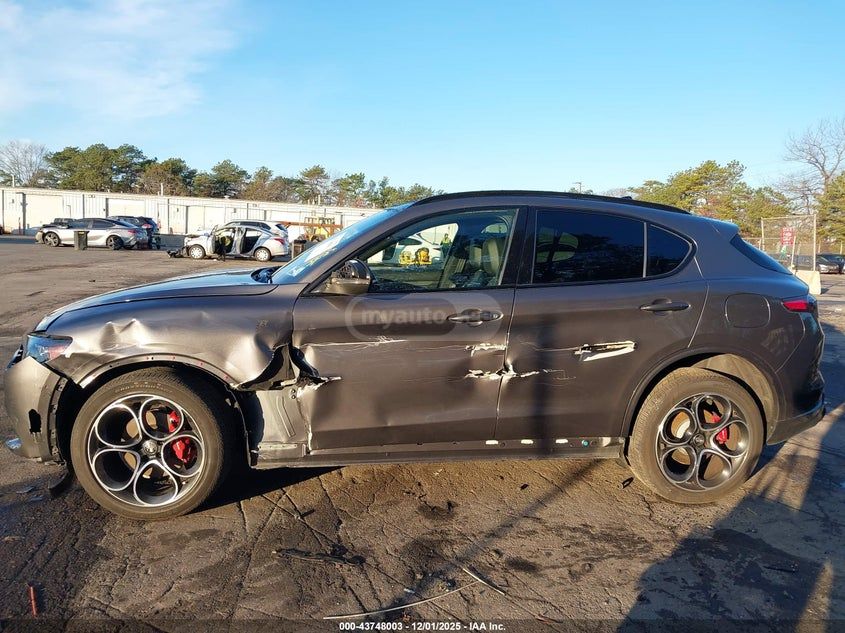 Alfa Romeo Stelvio 2024 — миниатюра 14