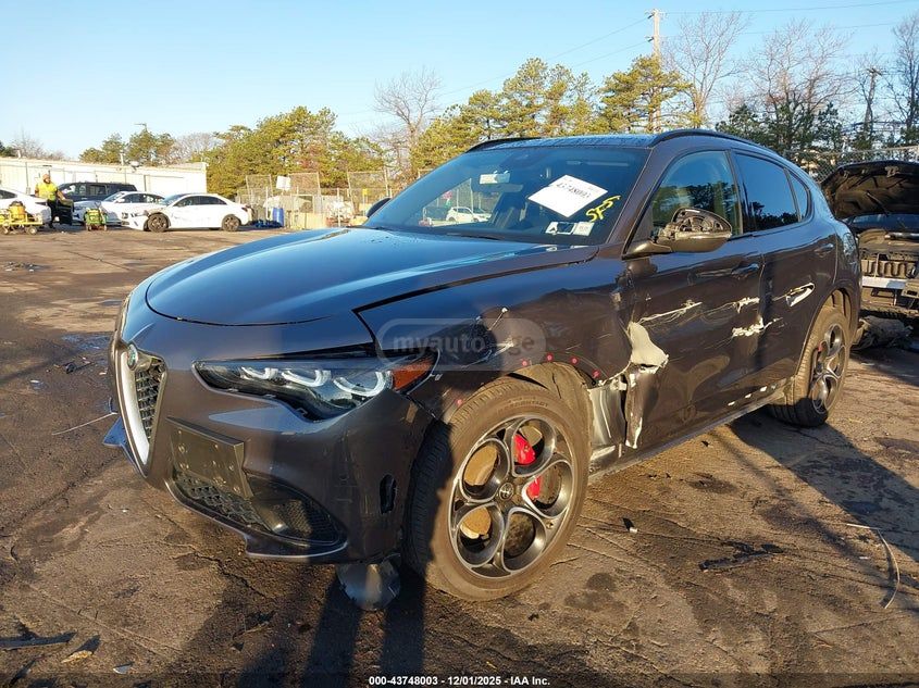 Alfa Romeo Stelvio 2024 — миниатюра 2