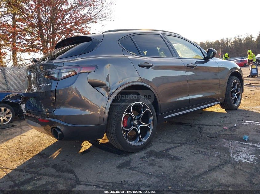 Alfa Romeo Stelvio 2024 — миниатюра 4