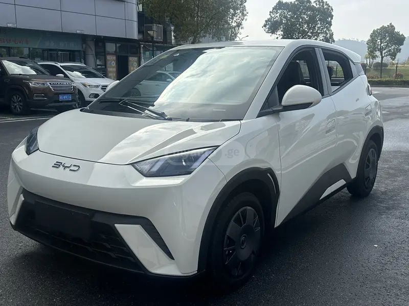 BYD Seagull 2024 — миниатюра 1