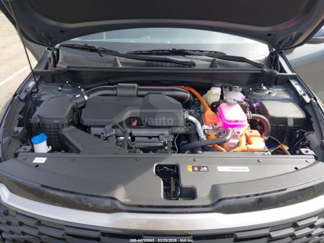 Kia Sportage - фото 10