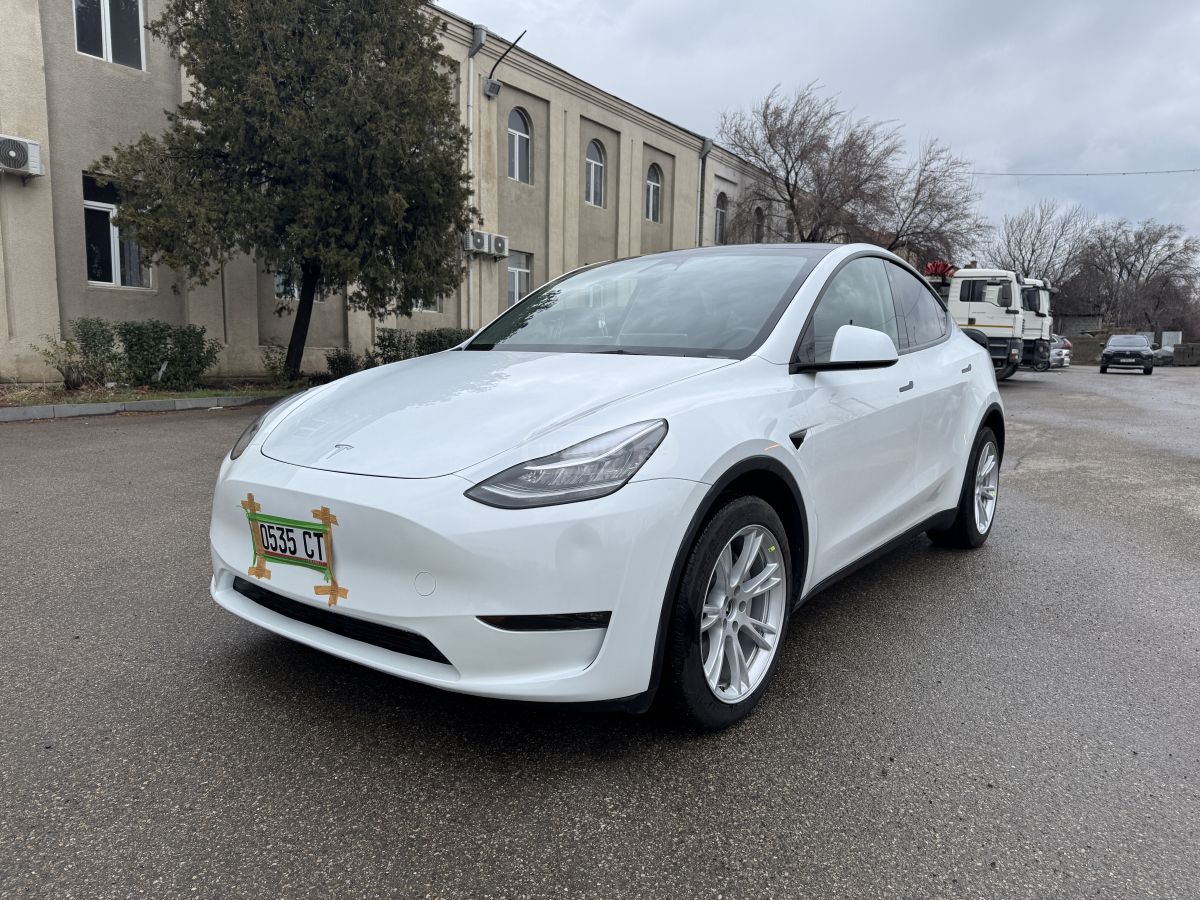 Tesla Model Y - фото 9