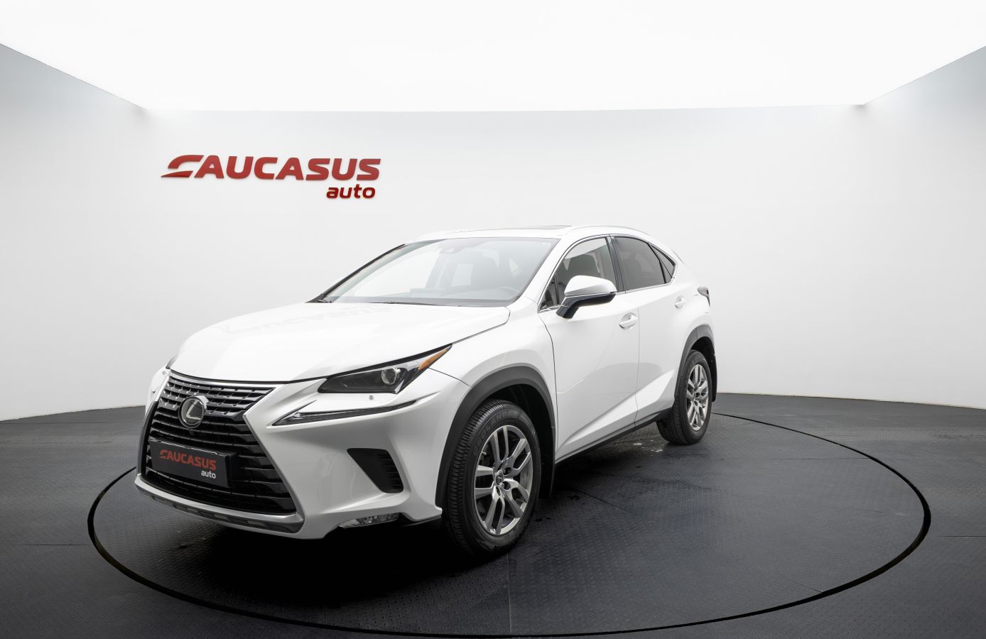 Lexus Base 4dr All-Wheel Drive CVT — миниатюра 1