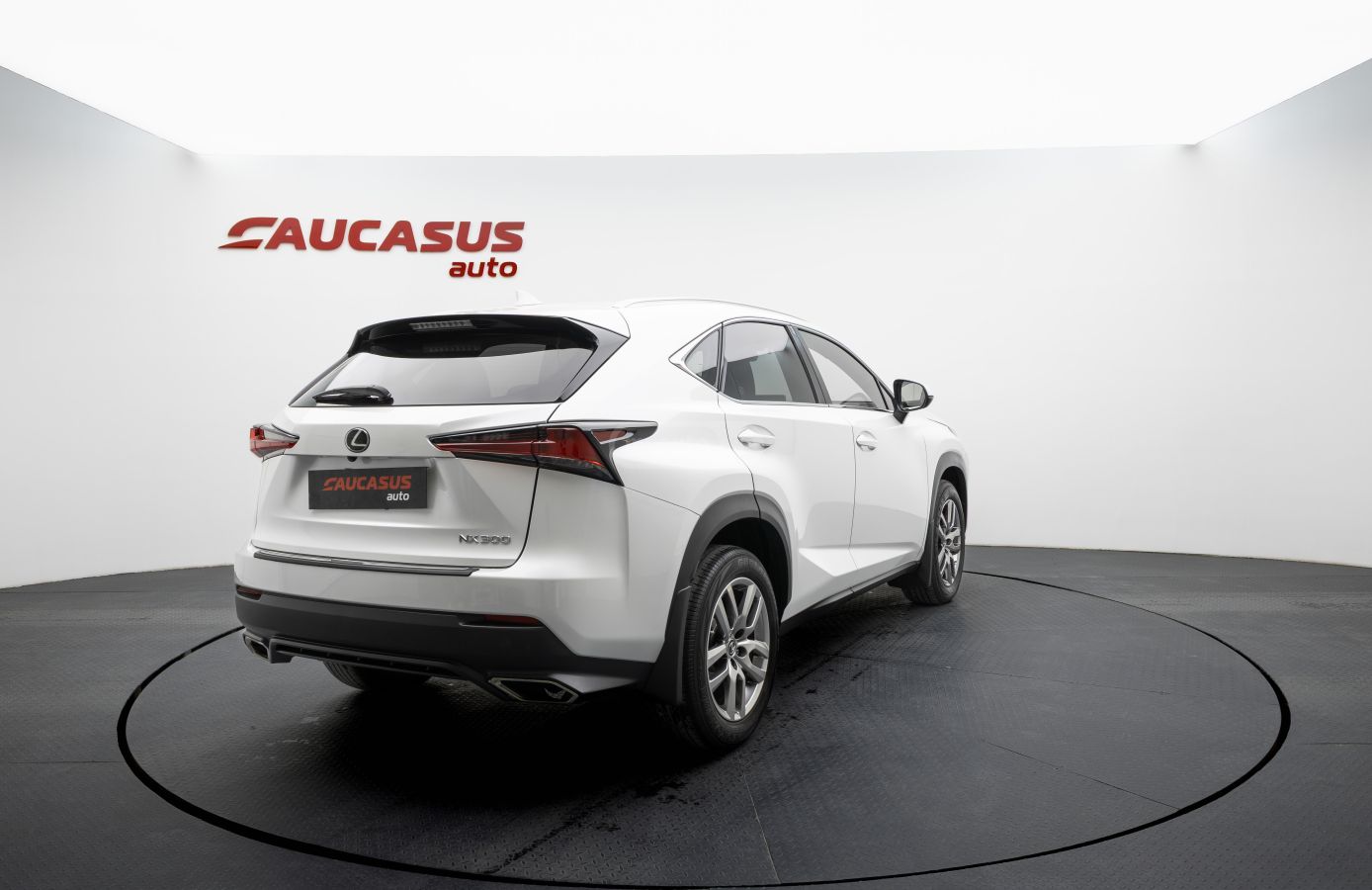 Lexus Base 4dr All-Wheel Drive CVT — миниатюра 4