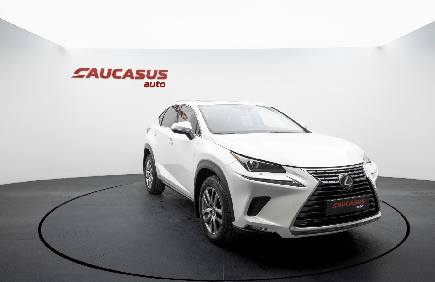 Lexus Base 4dr All-Wheel Drive CVT — миниатюра 5