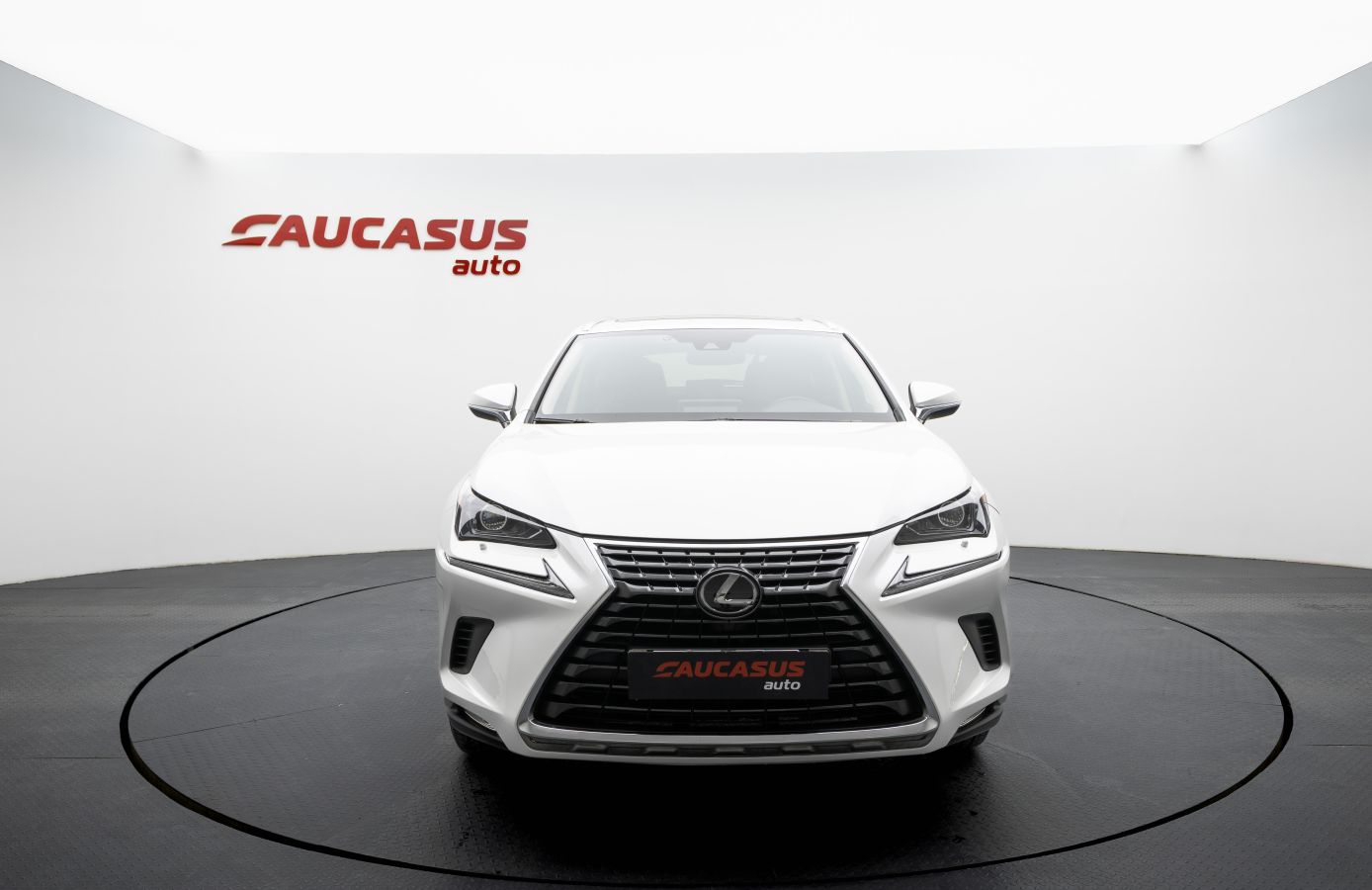 Lexus Base 4dr All-Wheel Drive CVT — миниатюра 6