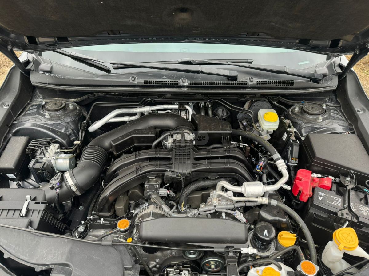 Subaru Wilderness — миниатюра 12