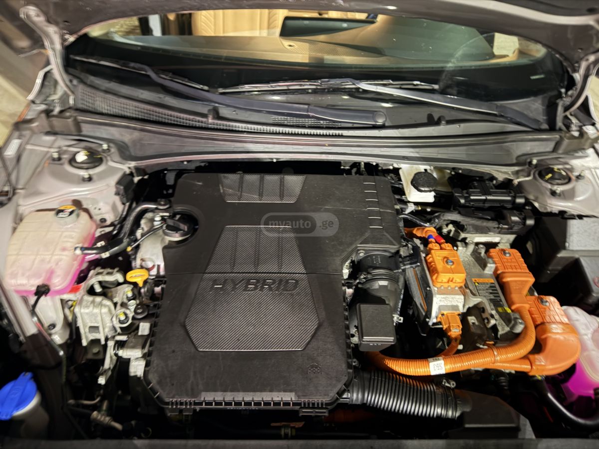 Hyundai Elantra - фото 11