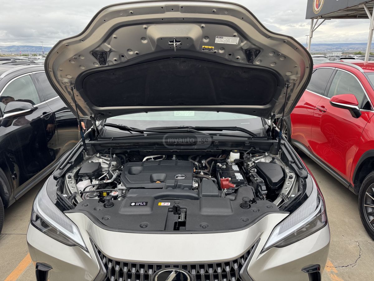 Lexus NX 250 - фото 9