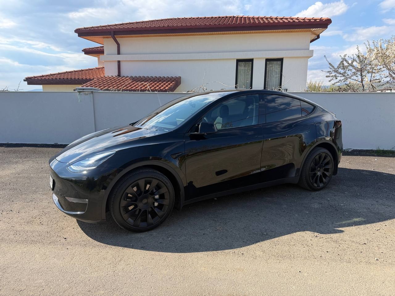 Tesla Model Y - фото 2