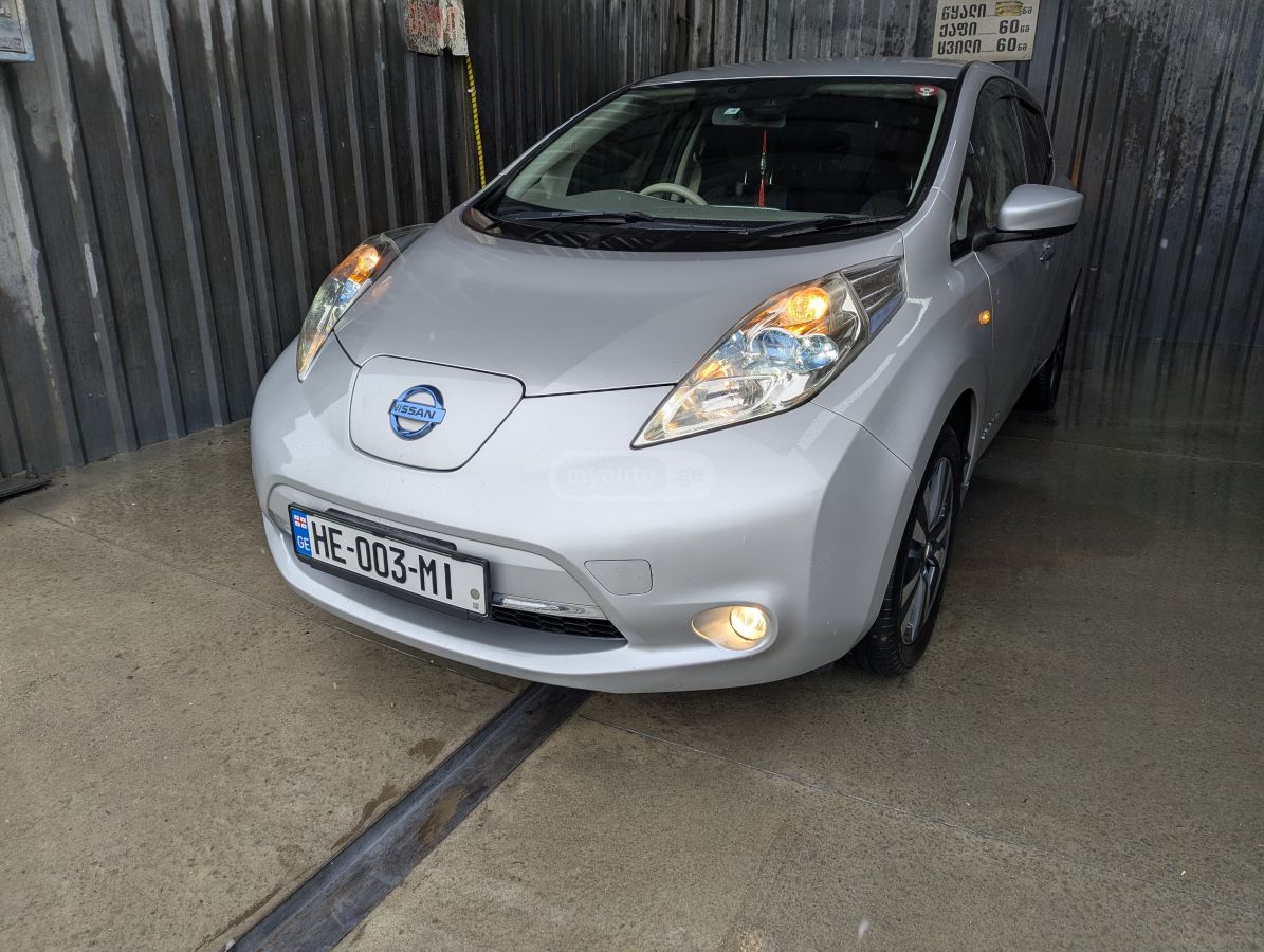 Nissan Leaf - фото 1