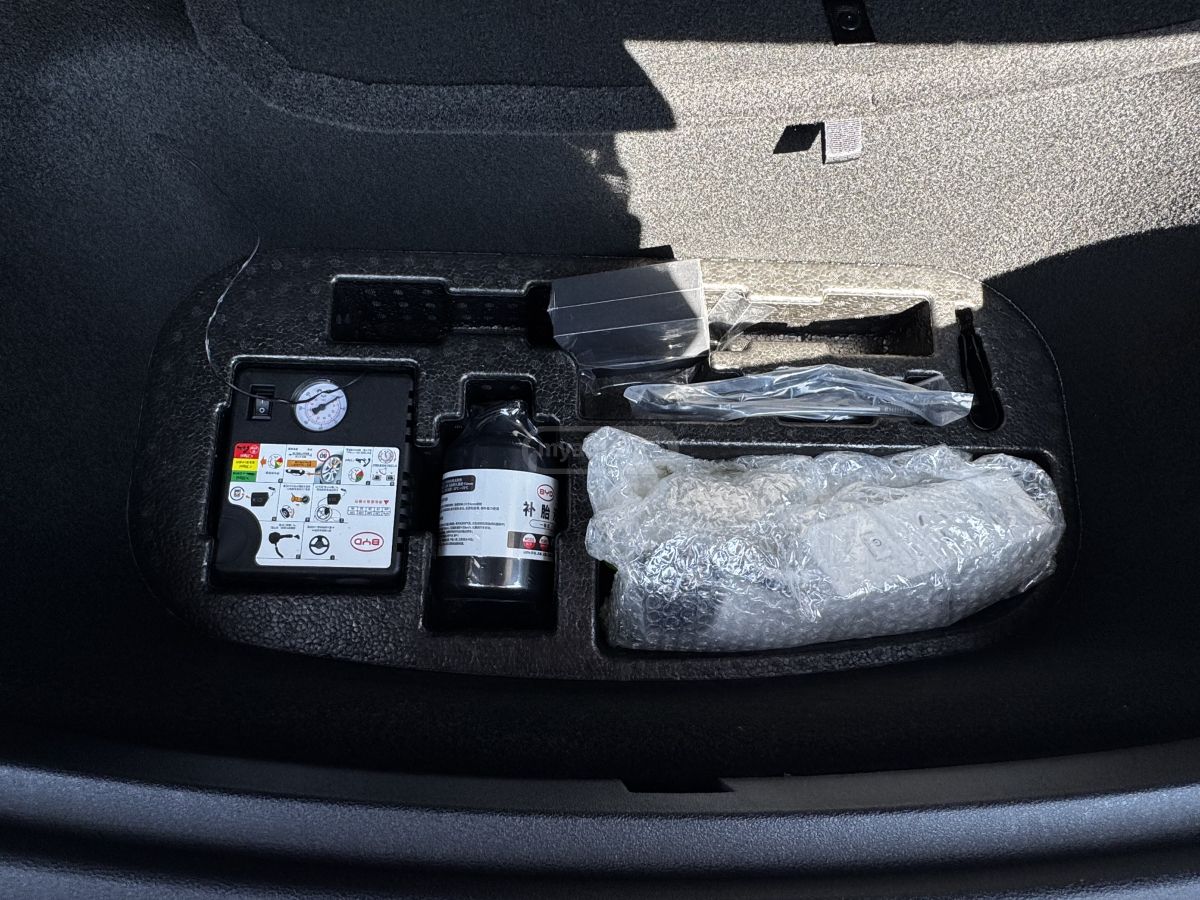 BYD Sealion 7 - фото 13