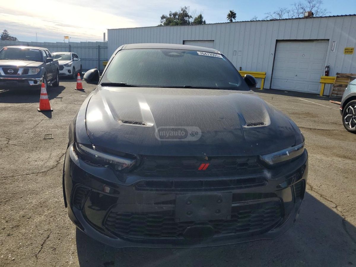 Dodge Hornet 2024 — миниатюра 5