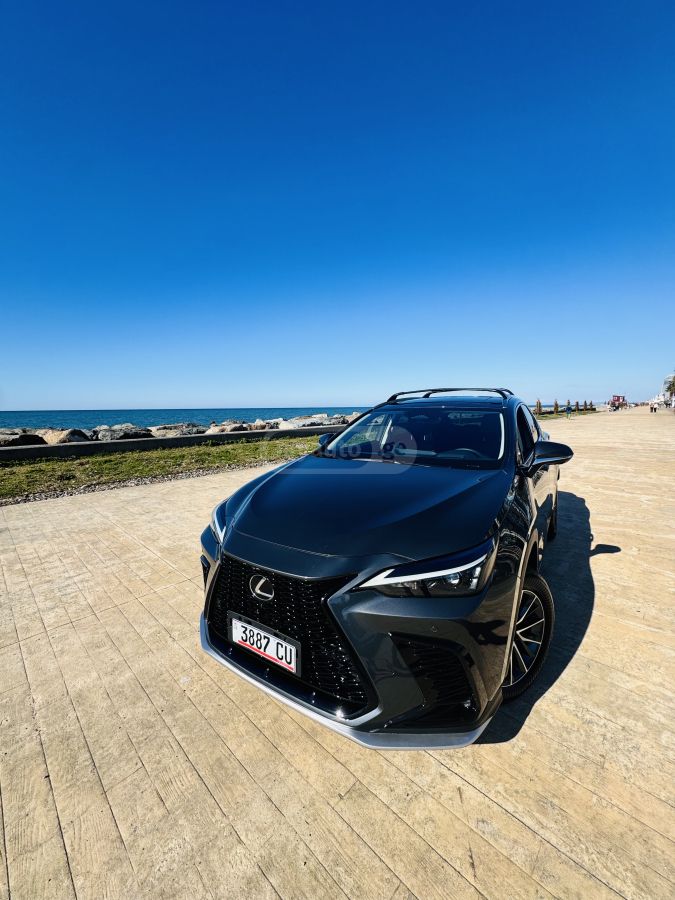 Lexus NX 350 2025 — миниатюра 1