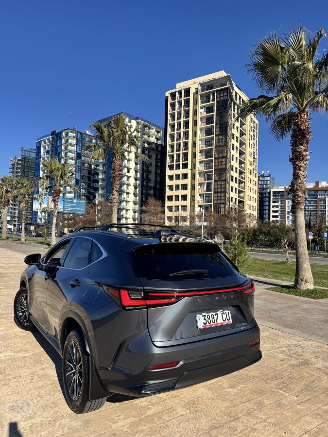 Lexus NX 350 2025 — миниатюра 11