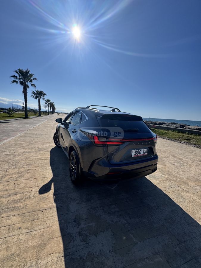 Lexus NX 350 2025 — миниатюра 14