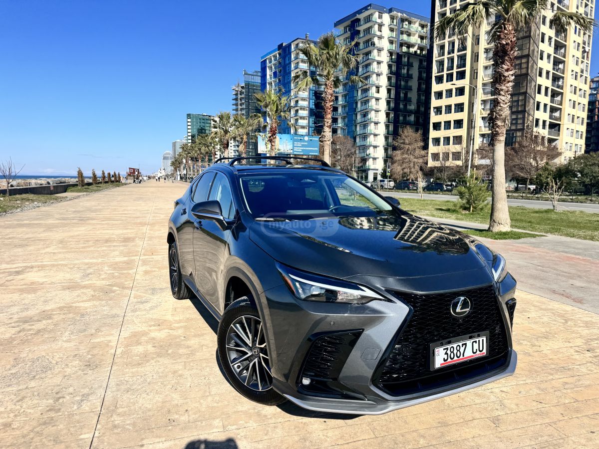 Lexus NX 350 2025 — миниатюра 2