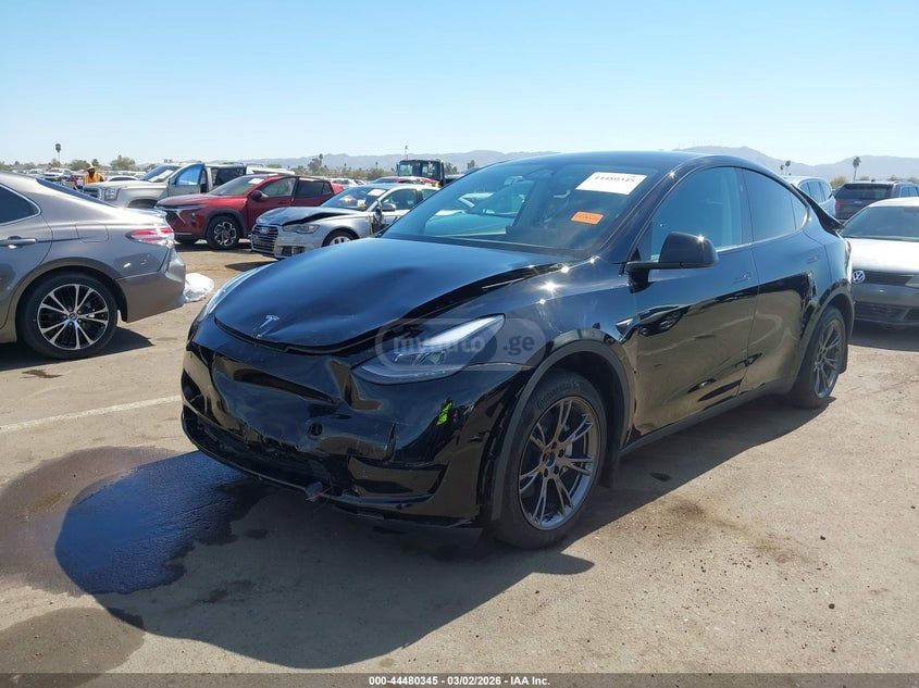 Tesla Model Y - фото 1