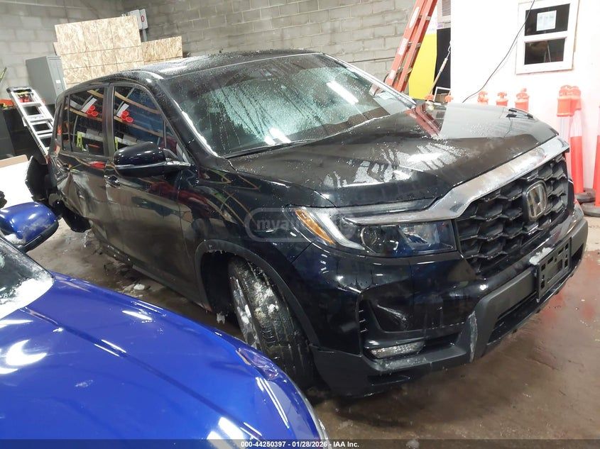 Honda Passport 2023 — миниатюра 1