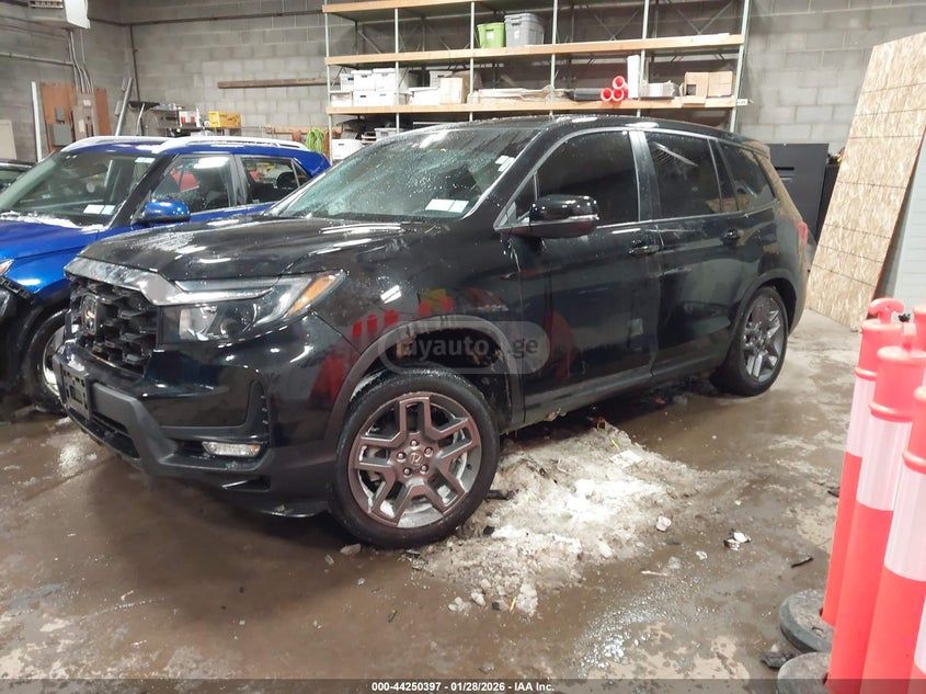 Honda Passport 2023 — миниатюра 2