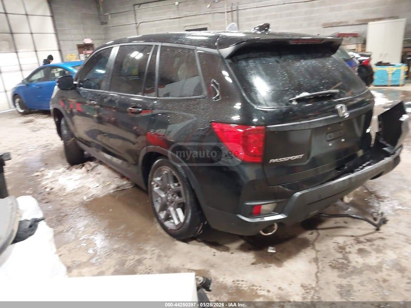Honda Passport 2023 — миниатюра 3