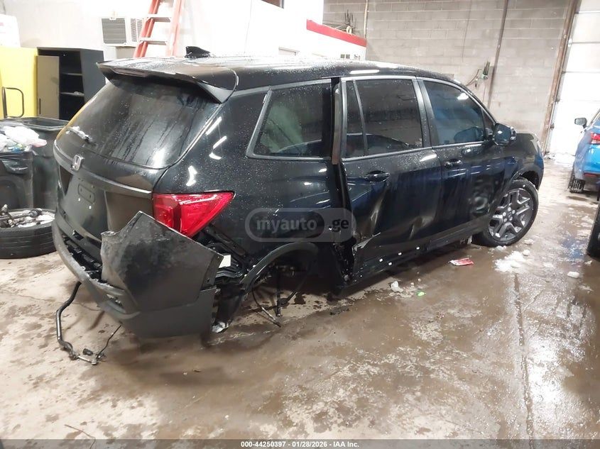 Honda Passport 2023 — миниатюра 4