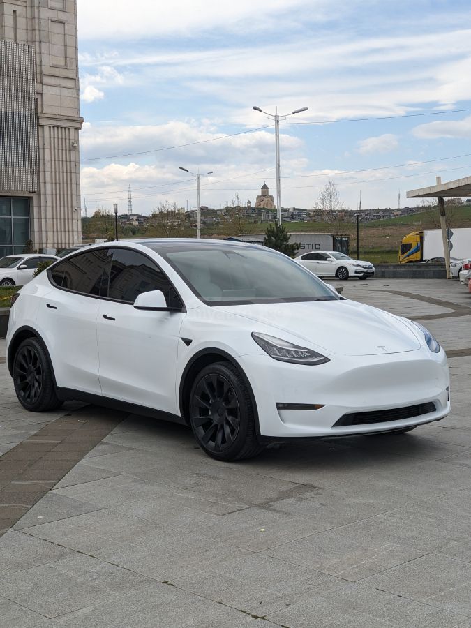 Tesla Model Y - фото 1