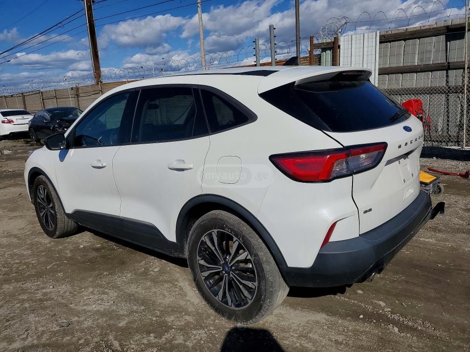 Ford Escape - фото 2