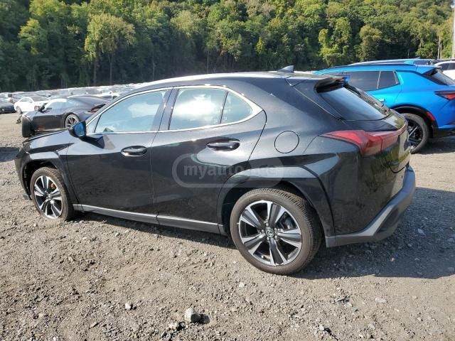 Lexus UX 250 h 2024 — миниатюра 2