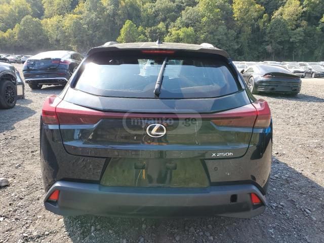 Lexus UX 250 h 2024 — миниатюра 6