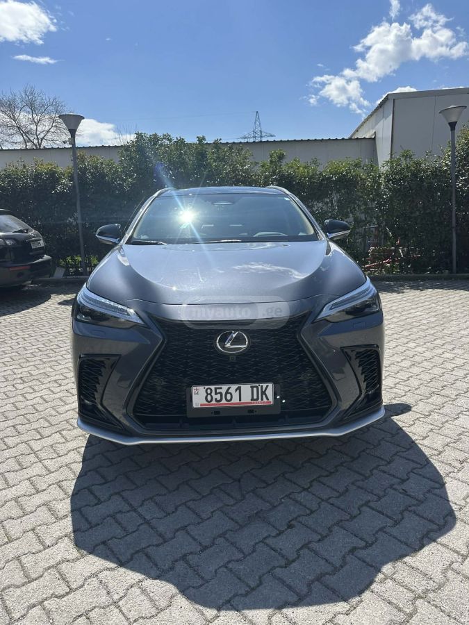 Lexus NX 350 - фото 1