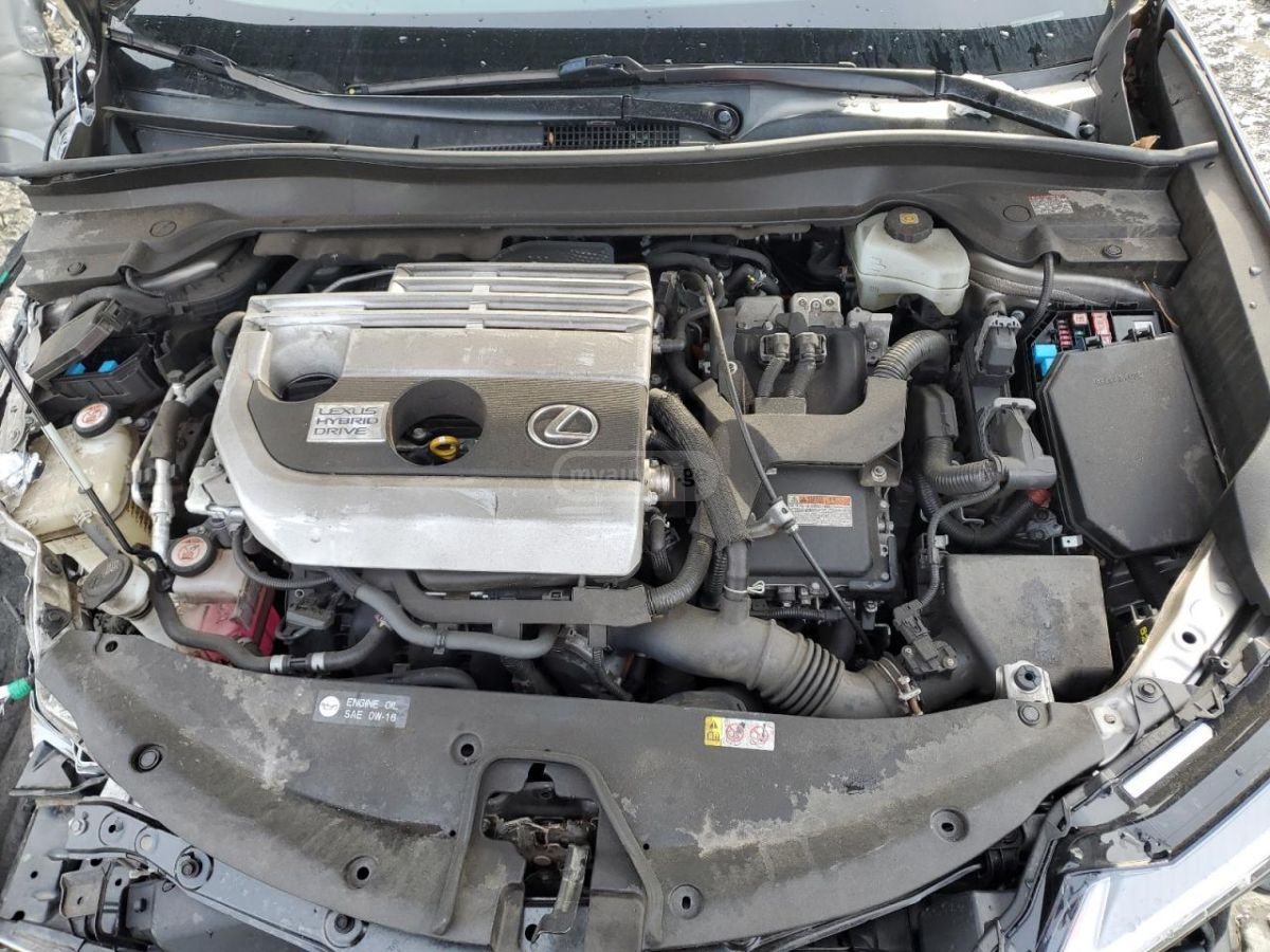 Lexus UX 250 h - фото 3