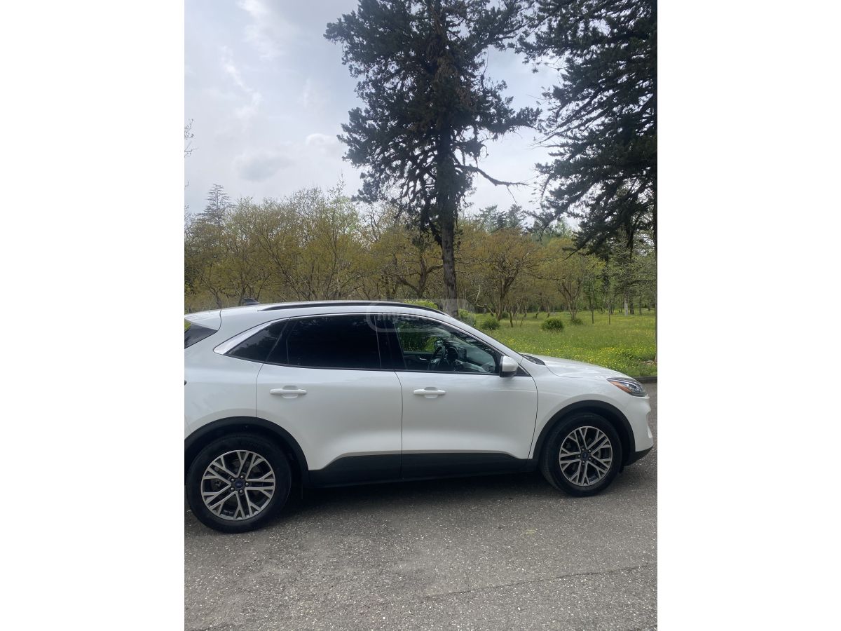 Ford Escape - фото 3