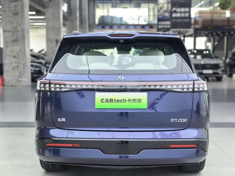 Dongfeng e008 2024 — миниатюра 3