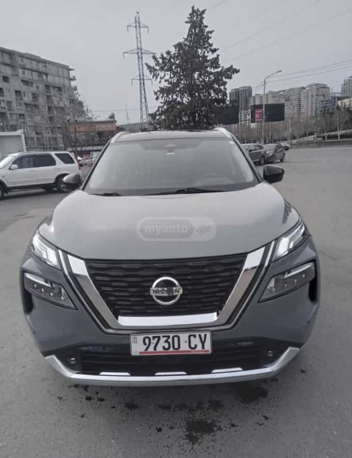 Nissan Platinum 4dr All-Wheel Drive C — миниатюра 3