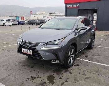 LexusNX 300