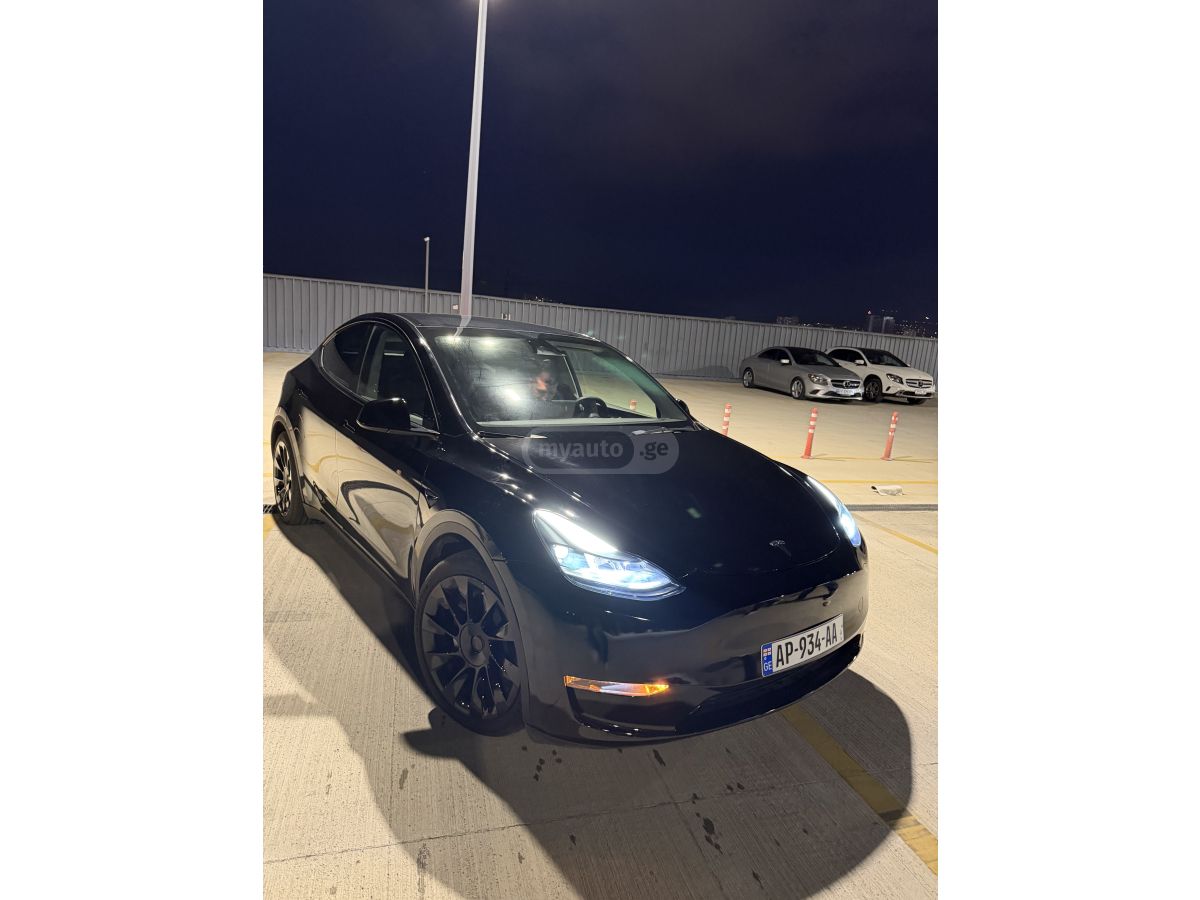 Tesla Model Y - фото 1