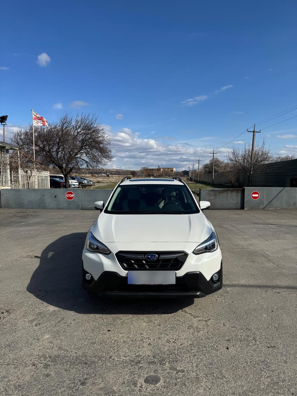 Subaru Crosstrek - фото 1