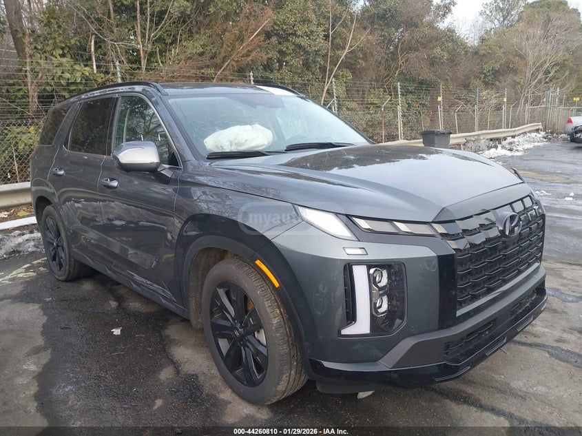 Hyundai Palisade 2025 — миниатюра 13