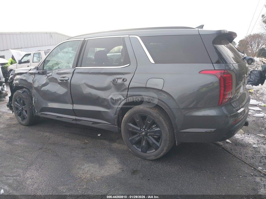 Hyundai Palisade 2025 — миниатюра 14