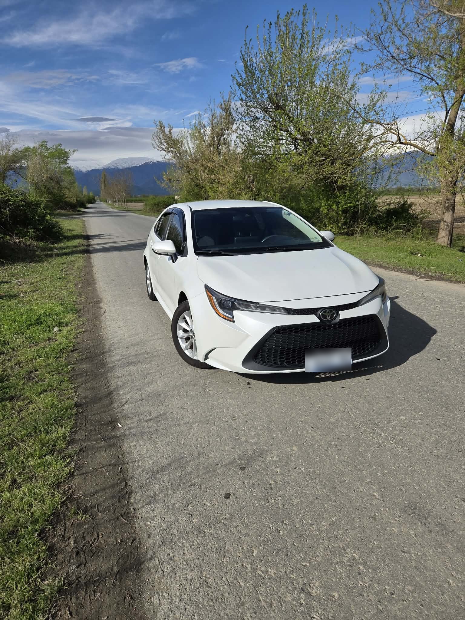 Toyota Corolla - фото 1