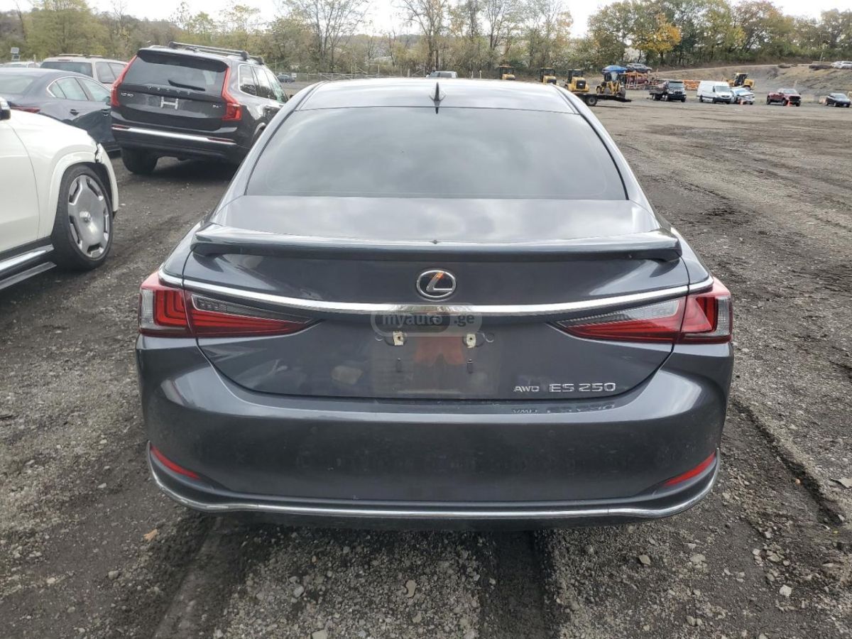 Lexus ES 250 Base 4dr All-Wheel Drive Sedan 2023 — миниатюра 6