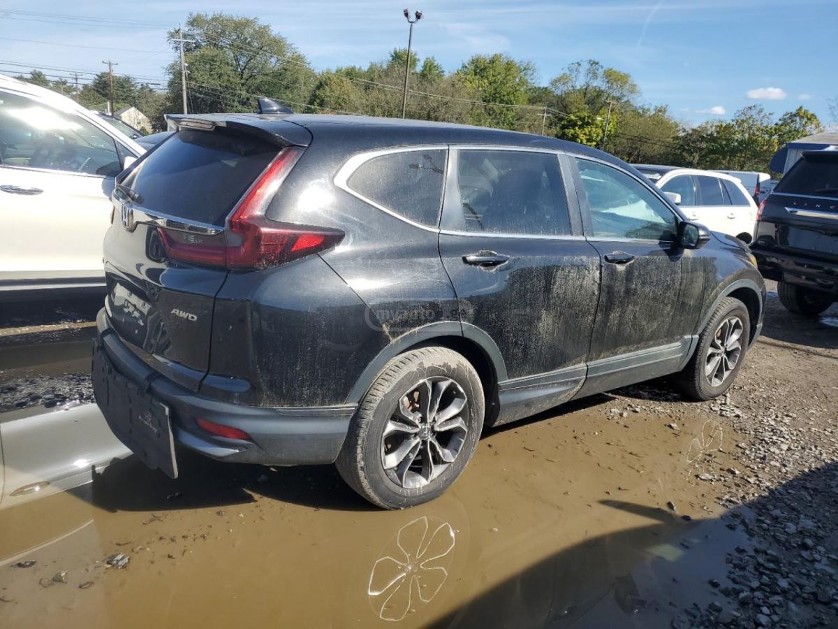 Honda CR-V - фото 3