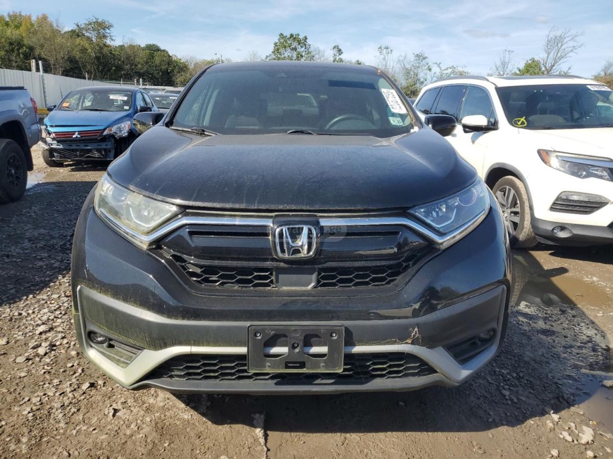 Honda CR-V - фото 5